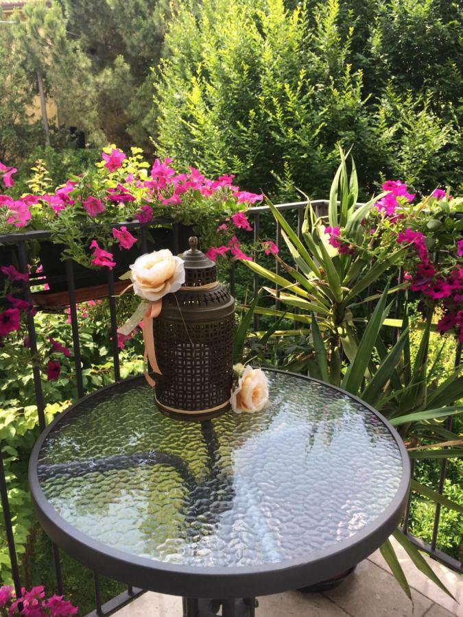 Bed & Breakfast Canova Treviso Exterior photo